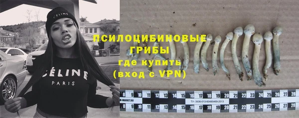 шишки Аркадак
