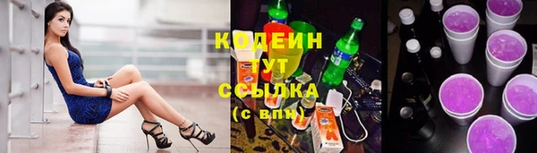 индика Балабаново