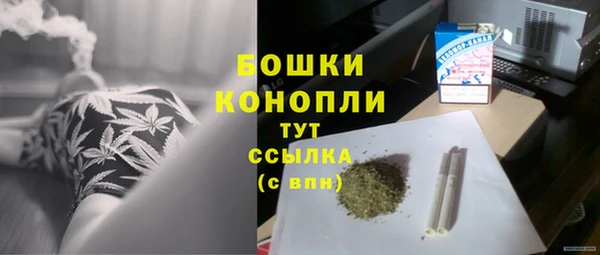 индика Балабаново
