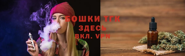спайс Арсеньев