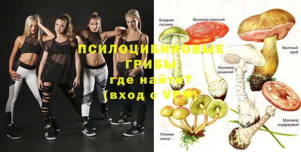 apvp Балахна